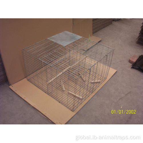 Live Animal Cage Trap rat mice trap cage humane live animal traps Manufactory